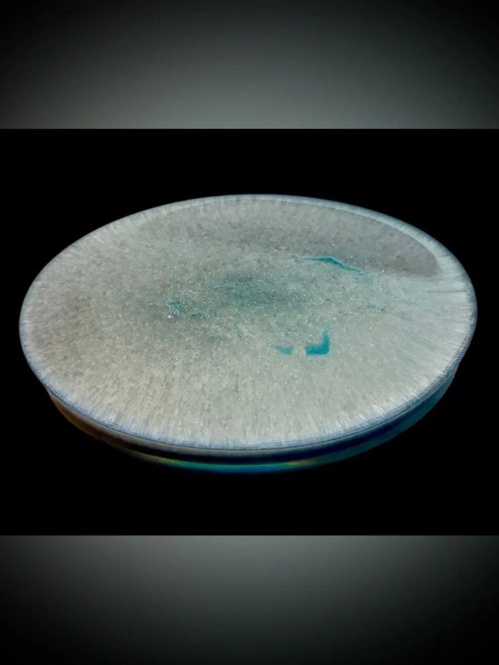 Handmade Resin Glitter Fish Soapdish Soap Holder Dish